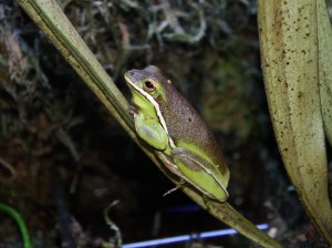 3202286940_36e85084b3_b