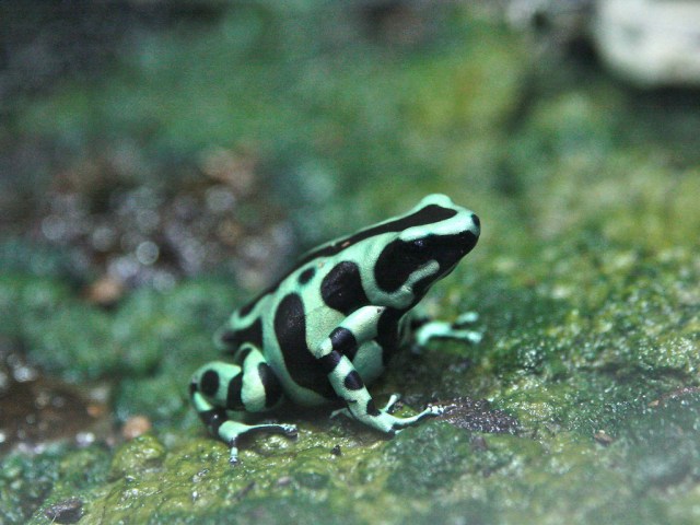 3776076618_9b282b6eaf_b