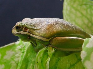 4664138328_3b7a8bbb04_b