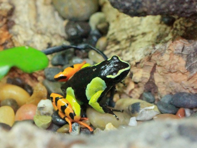 4708448392_717d47ae1f_b