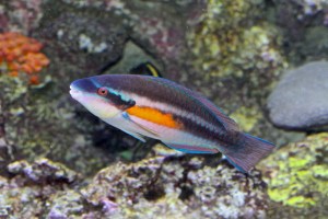 8203807035_27300b9689_b