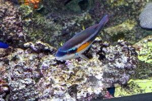 8203808613_e1c7921669_b-1