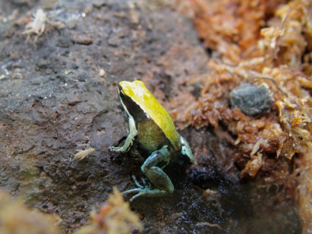 3708490144_dd425c4260_b