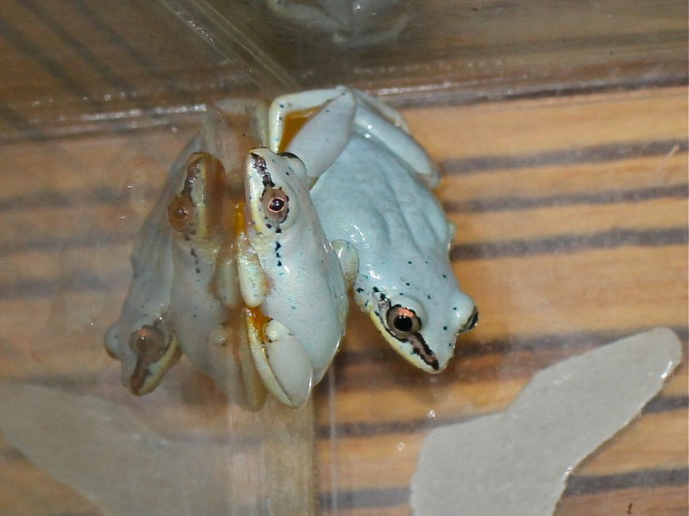 4813851121_62a99aa2a4_b