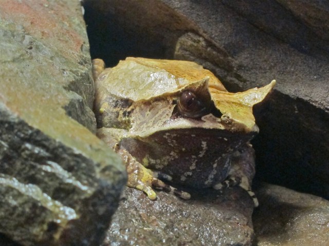 5536565600_f6c87f37ec_b-1