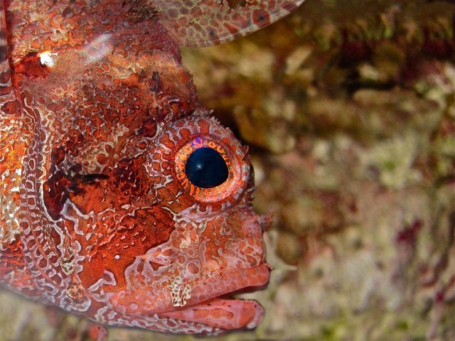 6287825773_71207d7831_b