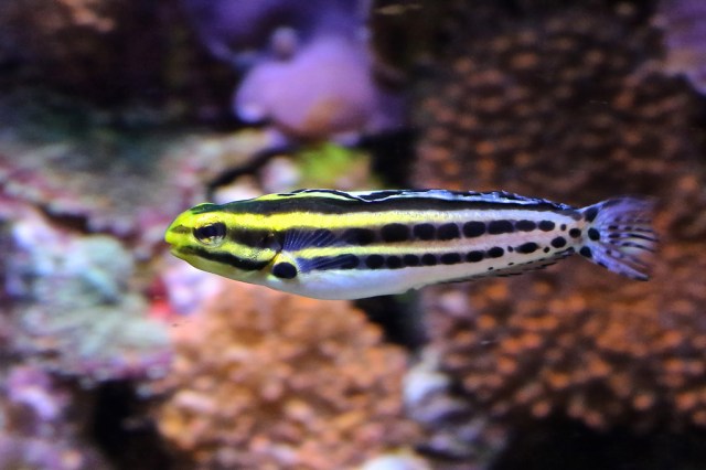 8393608989_a6c74ab647_b