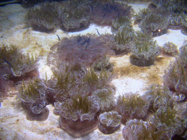 3052389114_c2ebdbe533_o