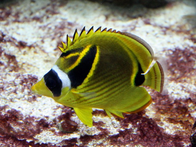 3120146362_b277962165_o