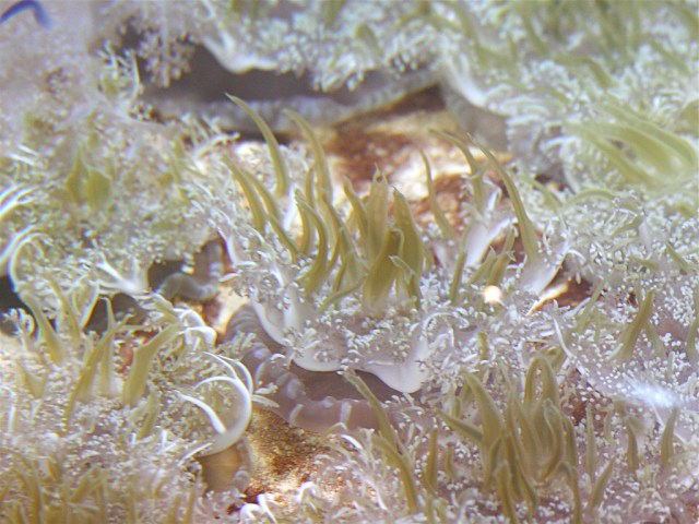 3279199519_42777fe55f_b