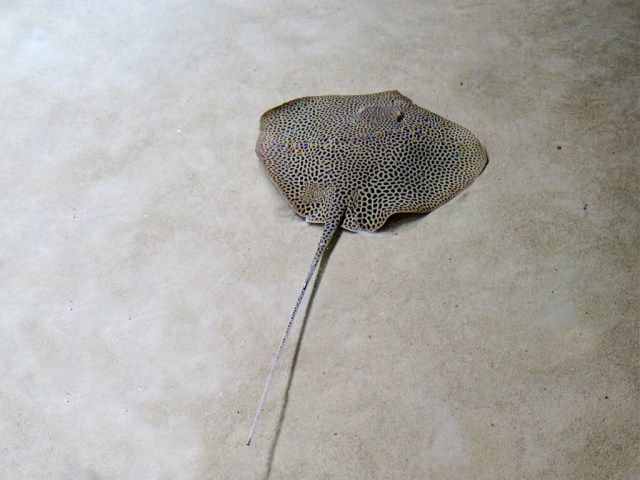 3300565561_c2b08f97ab_b