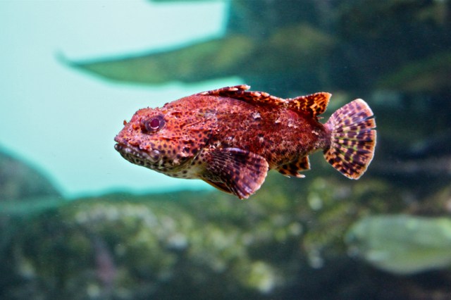 7422497262_688fa2ed80_b