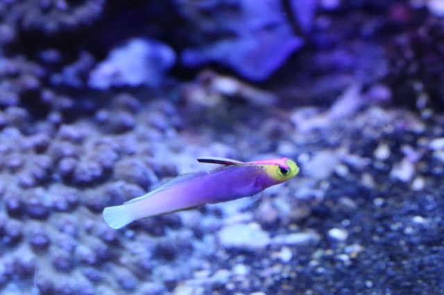 8510843234_cd068d461a_b