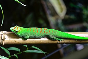 16492091872_3510b6b6b2_o