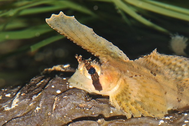 8552927419_f503e4fa76_b