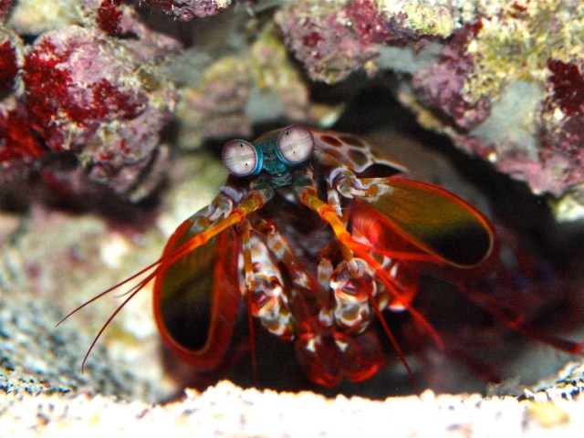 3751466248_44af0964d4_b