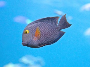 4295978629_a74cba2281_o