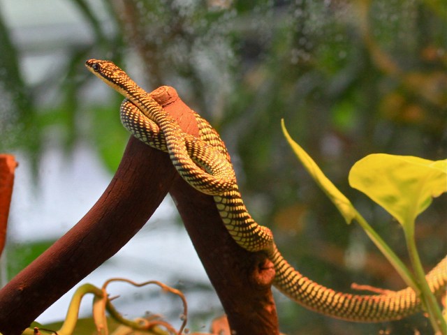 4495384997_561475b31b_b