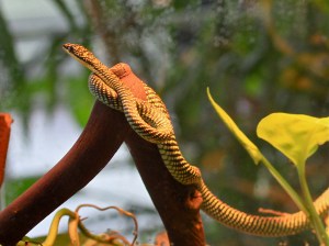 4495384997_561475b31b_b