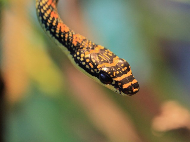 4495385953_49b8be668f_b-1