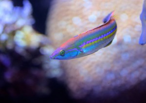 8644493886_4619144611_h