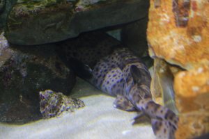 14640230535_aabd201285_b