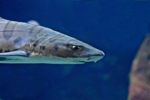 7588074504_9022c8b361_b