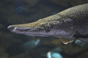 8703061879_88f46f7f5e_b