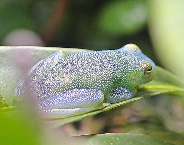 9130488231_8c77964d0e_o-1