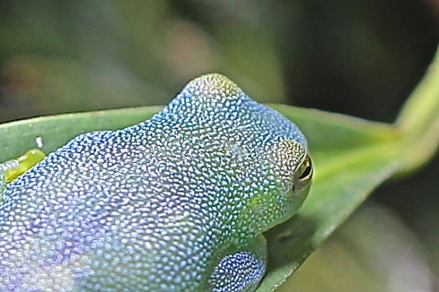 9130489037_84a1c9c5e5_b