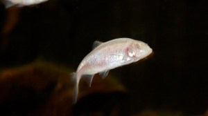 2997342579_fa0a28020a_b