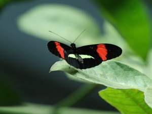 3116912525_7c6d9815d6_o