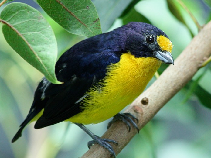 3161167117_bb752211e7_o