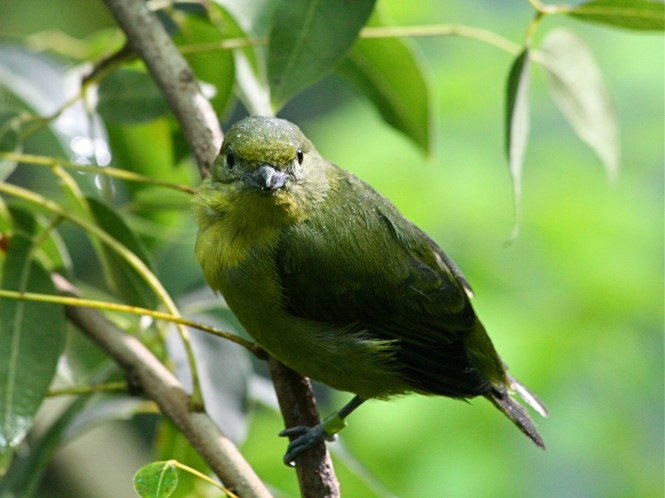 3193599474_339f19b97d_o