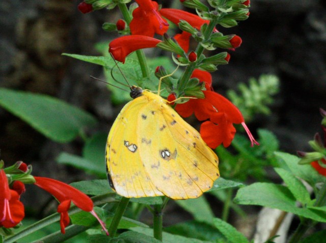 3201526951_715a363cc4_o