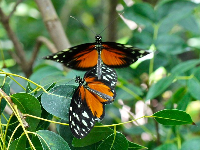 4427846261_2cb9a749fa_o