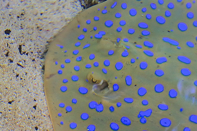 16087475307_e885bf6ee9_k