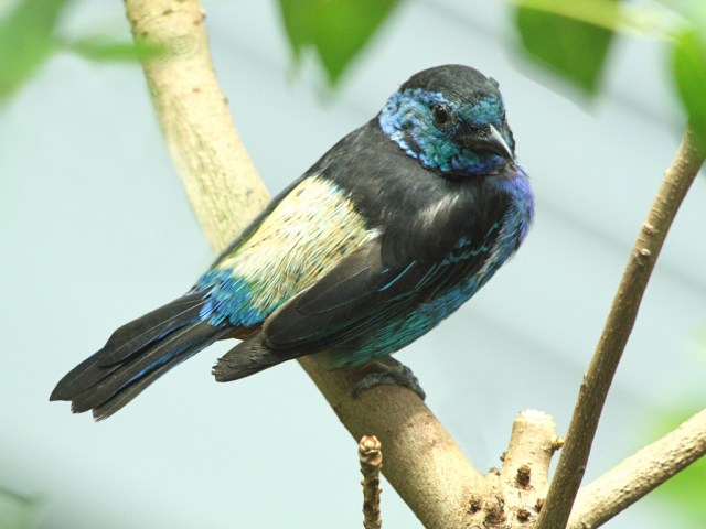 3161169099_3a0b56ac4b_b