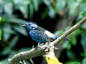 3168879341_57e5d64036_o