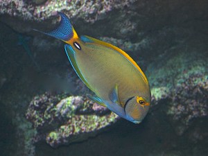 3119304093_7eeabb9447_o