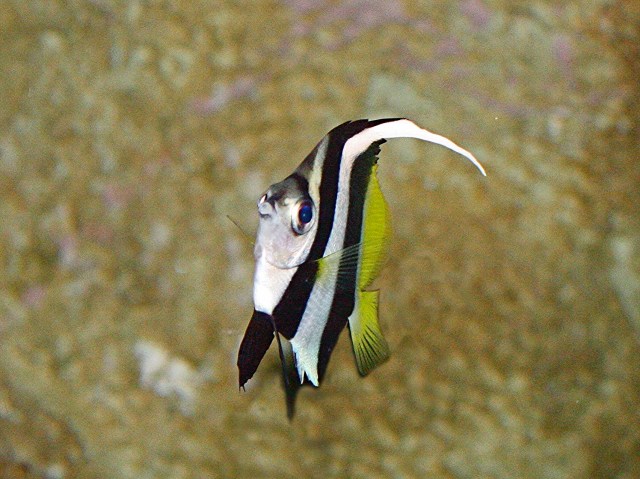 3266275817_271223e95d_o