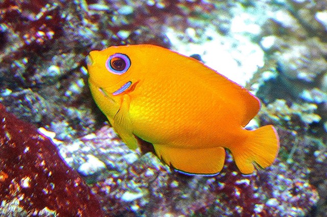 6179231037_10696ec959_b