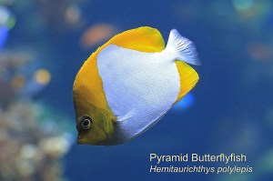 8673542491_279f027703_k