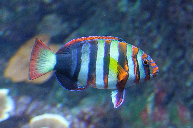 13468909953_41792a2c76_k