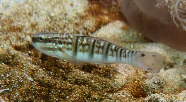 3632254969_6c5fc1fee8_b