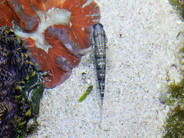 4540473291_f2ecc7c3a8_b