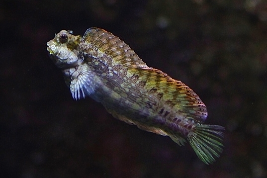 8043519996_54378d8b2c_o