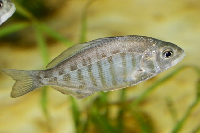 5037561446_e6139abb45_b