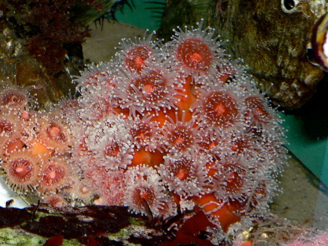 3124837767_b890803df1_o