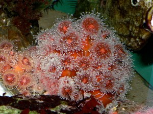 3124837767_b890803df1_o